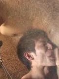 gay bear sex sites asian lesbian guys