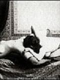 vintage horse sex naked vintage daisy